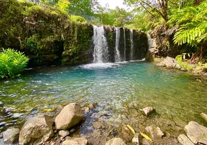 Full Day Private Road Tour to Hana