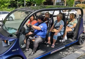 1 Hour Philadelphia Private Guided Tour by Deluxe Electric Car