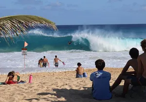 Stunning Views of Oahu: Half-Day Scenic Tour with 7 Lookouts