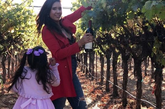 6 Hours 12 Passengers limo bus for Napa or Sonoma wine tour