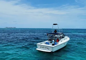 Private 38' Defender Sportfishing/Swim with Pigs in Nassau