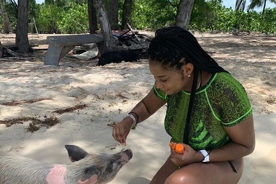 Private GroupTour Pigs/Turtles/Snorkeling/Lunch/Pickup/Dropoff