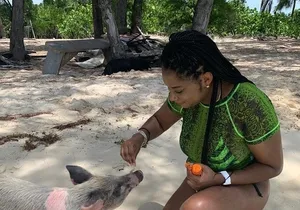 Private GroupTour Pigs/Turtles/Snorkeling/Lunch/Pickup/Dropoff