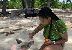 Private GroupTour Pigs/Turtles/Snorkeling/Lunch/Pickup/Dropoff