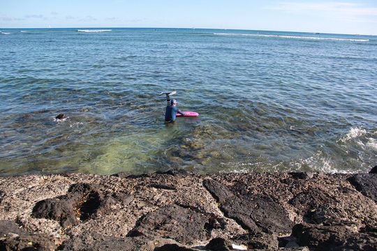 Full Day Private Professional Photo/Video Tour in Honolulu Island