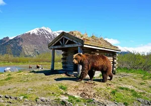 Anchorage to Whittier Cruise Transfer and Private Tour