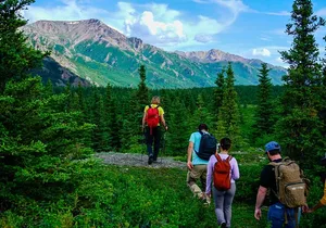 4 Hour Off-Trail Hiking Tour in Denali