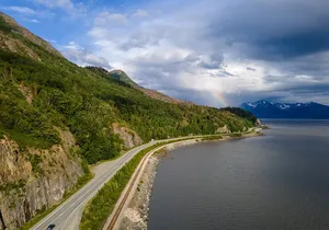 Seward to Anchorage Cruise Transfer & Wildlife Tour