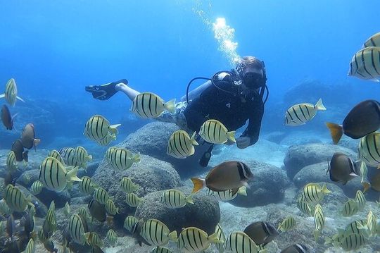 Beginner Scuba Diving Experience with Video Package in Honolulu