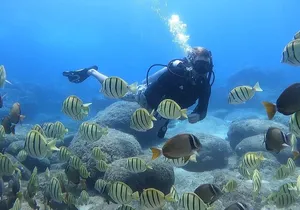 Beginner Scuba Diving Experience with Video Package in Honolulu