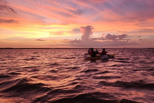 Magic After Dark Bioluminescence Kayak Tour Orlando