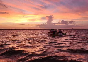 Magic After Dark Bioluminescence Kayak Tour Orlando