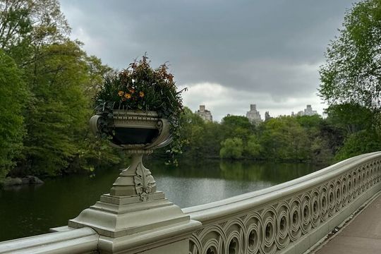 NYC Central Park Tour