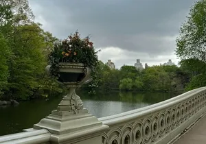 NYC Central Park Tour