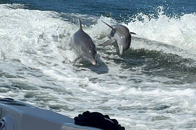 Aqua Sol Adventures-4.5 hour Private Snorkeling,Dolphin,shelling