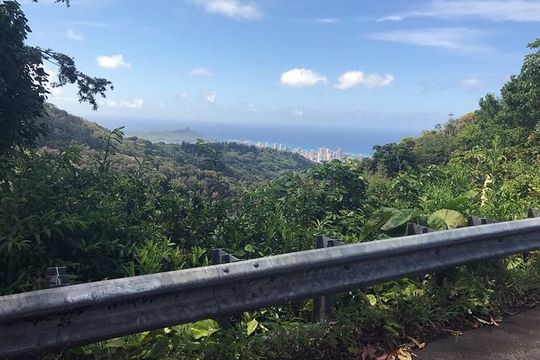 Easy Private Hike in Honolulu (Choose 1 of 2 trails) 2-4hrs