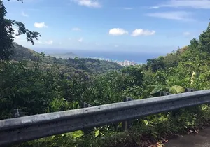 Easy Private Hike in Honolulu (Choose 1 of 2 trails) 2-4hrs