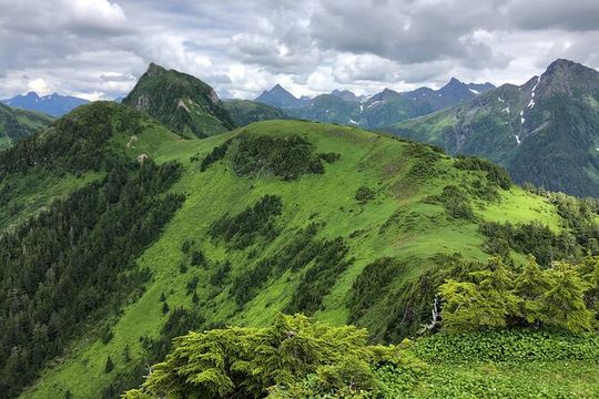 Guided Hike in Sitka, Alaska