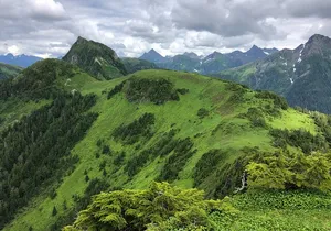 Guided Hike in Sitka, Alaska