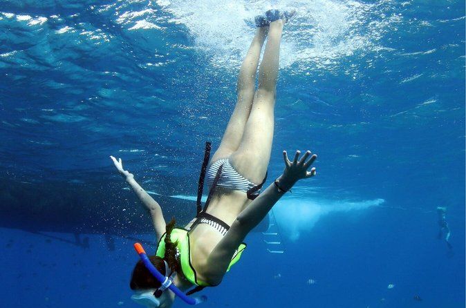 3 Zipline Adventure and 3.5 hour Afternoon Snorkel Cruise