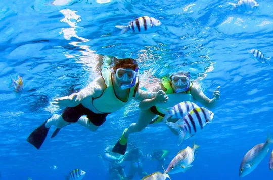3 Zipline Adventure and 3.5 hour Afternoon Snorkel Cruise