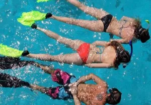 Miami: Snorkeling Experience