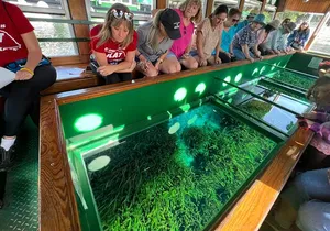 Manatee Season at Silver Springs Small Group Tour from Orlando