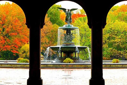 Central Park Experience: Scenic & Historical Walking Tour