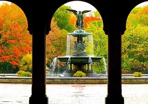Central Park Experience: Scenic & Historical Walking Tour