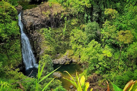 Road to Hana Private Full Day Tour
