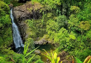 Road to Hana Private Full Day Tour