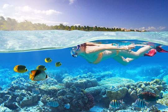 Private 2-Hour Tour in Nassau