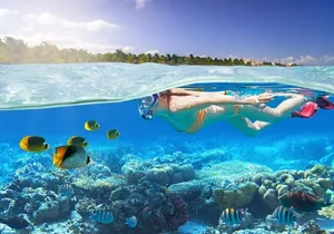 Private 2-Hour Tour in Nassau