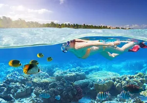 Private 2-Hour Tour in Nassau