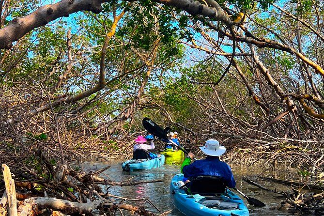 Elite Hobie Kayak Experience: Ultimate Premium Eco Adventure!