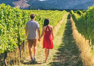 San Francisco: Napa & Sonoma Wine Tour & 24hr Hop-on Hop-off Tour