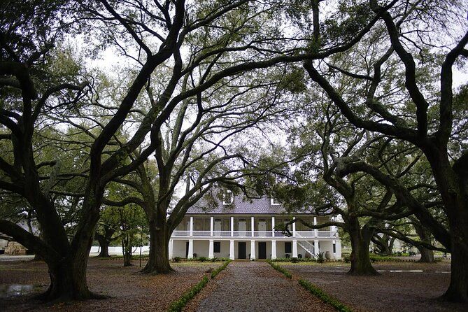 Oak Alley and Whitney Plantation Tour with Transportation