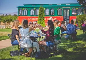 4 Hour Livermore Valley Wine Tour