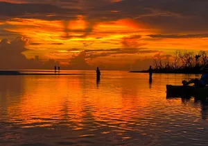 Naples Guided Sunset Kayak Tour Activity