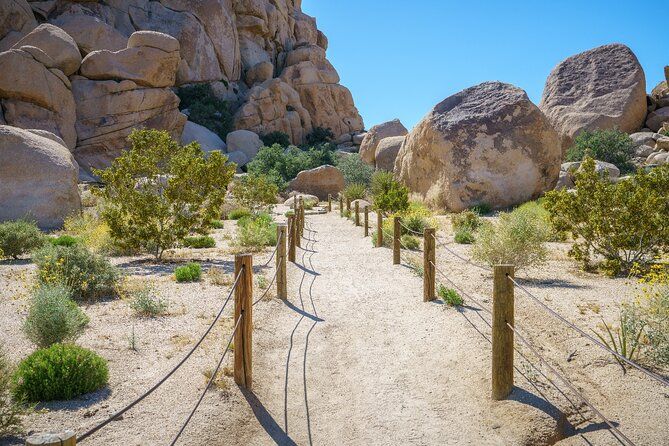 Joshua Tree's Hidden Valley Self-Guided Walking Tour