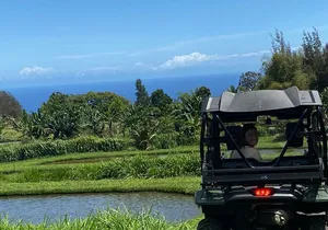 Waipi’o on Horseback: Mountain Ocean Views Working Cattle Ranch