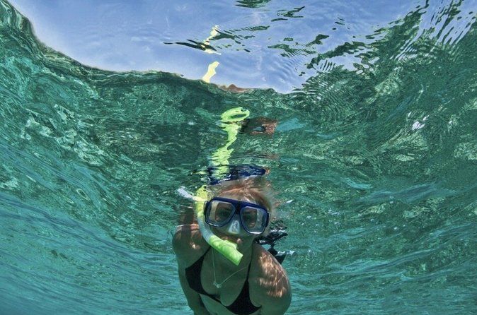 Frisky Mermaid Scenic Bay Cruise + Snorkeling Stop + Equipment