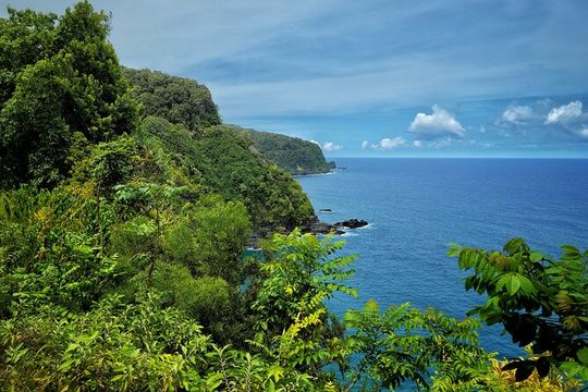 Private Maui Redwood Hiking Experience