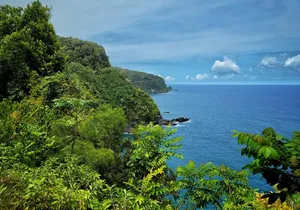 Private Maui Redwood Hiking Experience