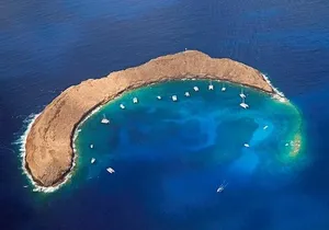 Half-Day Deluxe Molokini Snorkel Excursion in Maui