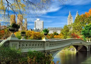 Half Day New York City Private Tour