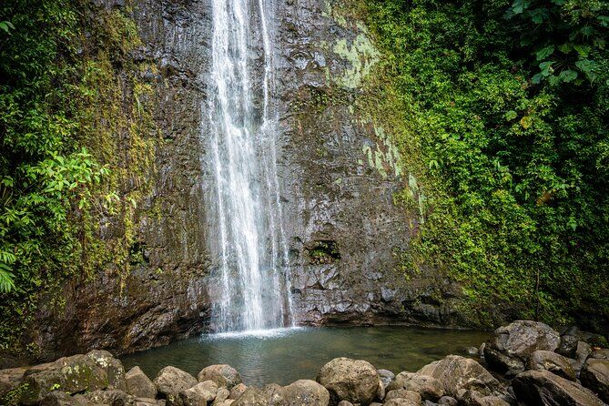 Waikiki Electric Bike Self Guided Tour- Manoa Falls Bike and Hike