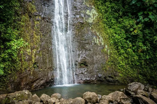 Waikiki Electric Bike Self Guided Tour- Manoa Falls Bike and Hike