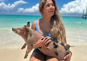 Nassau, Private Swimming Pig, Island Hopping, Snorkeling, Turtles