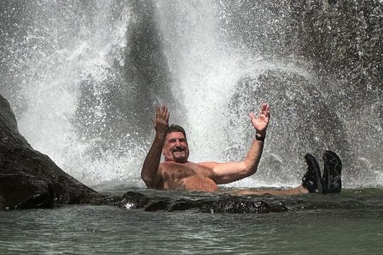 The best half day of your life! Luxury Road to Hana private tour